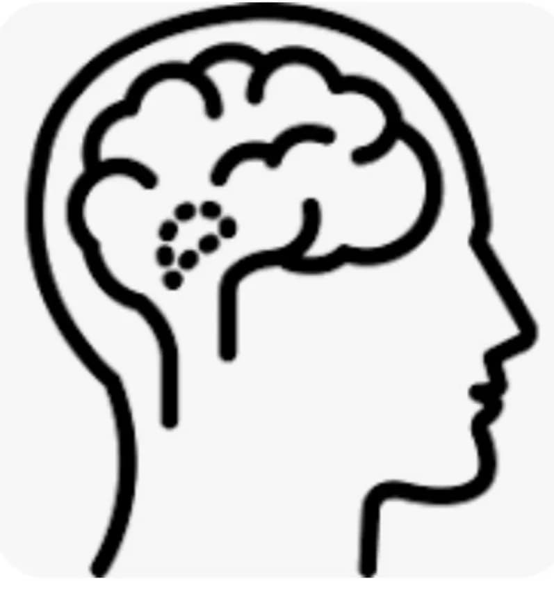 Hypothalamus